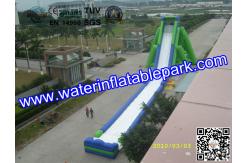 China Giant Inflatable Water Slide For Adult , Hippo Inflatable Slide In Amusement Park supplier