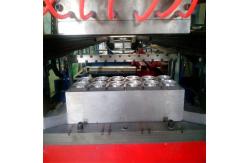 China Customised Plastic Vacuum Molding For Thermoforming Machines supplier