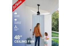 China 48 Inches Modern Ceiling Fan Without Led Light ABS Blade Dc Remote Control supplier