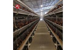 China Breeding Equipment Customized Multi Layer Chicken Cage European 54 Chickens supplier