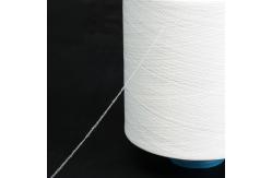 China High Elastic 100% Nylon Yarn 70D, 100D supplier