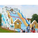 giant snow slide inflatable for sale