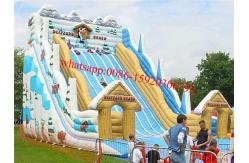 China giant snow slide inflatable supplier