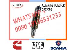 China Diesel Fuel Injector 2872544 2872289 4955080 4326959 2897320  Fuel Injector supplier
