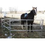 Extremely Long Lasting Horse Corral Panels Heavy Gauge Carbon Steel Material for sale