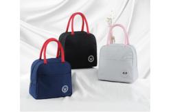 China 6L Aluminum Foil Lined Cooler Bag with Adjustable Shoulder Strap supplier