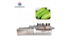 China Vegetables and Fruits Bubble Cleaning Vibration Air Drying Machine Production Line supplier