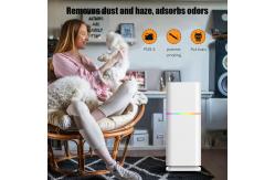 China ODM HEPA Room Dust Purifier Residential Air Purifier 240V For PM2.5 supplier