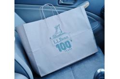 China Recyclable Brown Paper Shopping Bag Custom Printed With Reusable Handles supplier