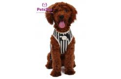 China Remote Dog Martingale Remote Control Lcd Training Collar Gentle Lead supplier