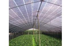 China 0.4m Wide 50% Plastic Weed Barrier 300gsm Sun Mesh Sunblock Shade Cloth supplier