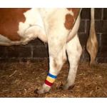 China High Quality Cow Leg Velcro Band Hook Loop Strap 15*180mm Customizable manufacturer