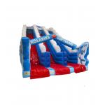 Kids Playground Dolphin Double Lane Slip And Slide For Rentals for sale