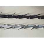 Medium Size Steel Wall Spikes Hot Dipped Galvanized Or Black Powder Coated for sale