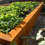 Corten Steel Rust Metal Garden Edging Decorative for sale