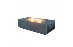 China Factory price black real flame LPG NPG outdoor see through gas fireplace supplier