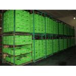 Agricultural Plastic Collapsible Storage Crate Customized 600*400 Mm for sale