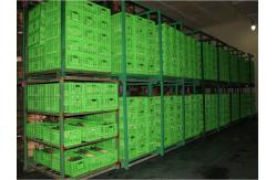 China Agricultural Plastic Collapsible Storage Crate Customized 600*400 Mm supplier