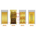 Residential Platform Illumination Elevator Cabin Decoration Elevator Door Panel for sale