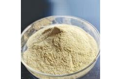 China 100000SKB Enzyme Used In Baking Industry Customized Enzyme Activity supplier