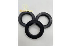 China TCN High Pressure Skeleton Oil Seal AP2668G For Excavator Seal Kit supplier