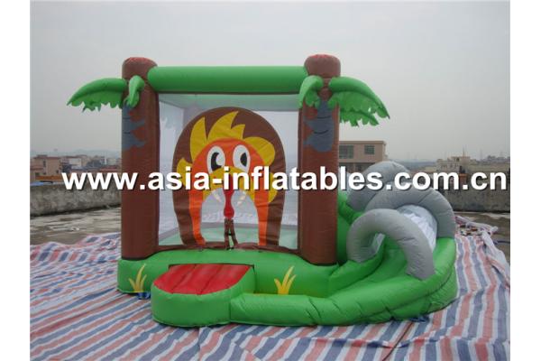 Popular Mini Inflatable Jumping Bouncers
