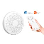 Portable WiFi Smoke Detector Alarm Combine Co Detector Carbon Monoxide Alarm  With  Low Power Remind for sale