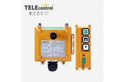 China F21-2D Crane Remote Control Systems 2 Dual Speed Keys Wireless Crane Controller supplier