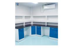 China Educational Institutions Modern Laboratory Wall Bench With Wall-mounted Structure supplier