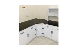 China Adjustable Height Polypropylene Lab Bench With Caster Wheels supplier