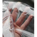 No Smell Windbreaker Translucent TPU Fabric