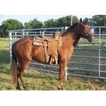 Galvanized Steel Tubes H1.8m Livestock Fence Panels for sale