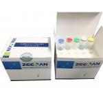 China PCR Test Kit - 48 tests per kit  Rapid  test kits for Sars Covid 19 - wholesales and custom CE and FDA factory