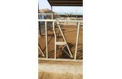China Customized Hot Galvanized Cow Head Lock Farm Feeding Equipment supplier