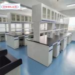Versatile Chemistry Lab Workbench with Numerous Hooks and Compartments for sale