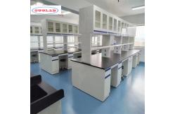 China Custom Chemistry Lab Bench Cupboards Racks and Rails Designed as Specified supplier