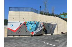 China Professional Indoor Climbing Wall Climbing Holds Custom Moisture Proof supplier