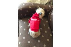 China Customized Pet Clothes Cartoon Dog Hoodie / Coat / Jacket With Print Pattern supplier