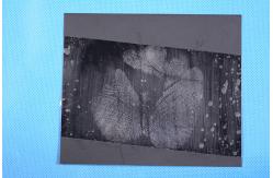 China C153 80mm Palm print lifting tape supplier