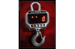 China Performance 2000 Lb Hanging Scale Hoist Crane Hook Weighing Scale Heavy Duty supplier