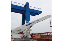 China Telescoping Boom Crane Yacht Pedestal Jib Stretch Out And Draw Back 2T 5M supplier