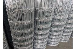China Electro Galvanized Cattle Farm Field Fence For Sheep And Goat supplier