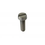 M1-M10 Polished Titanium Slotted Cheese Head Machine Screws for Hardware Applications for sale