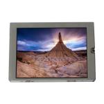 KCG057QVLDG-G00 5.7 inch 180cd/m2 LCD Screen For Kyocera for sale
