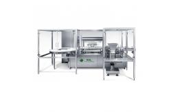 China Servo Driven 500ml GMP Pet Bottle Water Filling Machine supplier