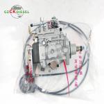 Fuel Injection Pump 2644N204 for Engine 1104C-E44T 1104C-E44TA