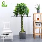 All Season 160cm Height Braided Artificial Money Tree Plant Indoor