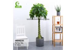 China All Season 160cm Height Braided Artificial Money Tree Plant Indoor supplier