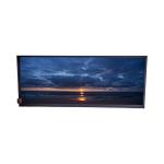 HannStar LCD Screen Display Panel HSD103JPW2-H10 10.3 Inch 1920*720 Replacement for sale