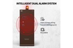 China Biometric Fingerprint Lock Home Safe Box Heavy Duty Steel Safe Document Safe Box supplier